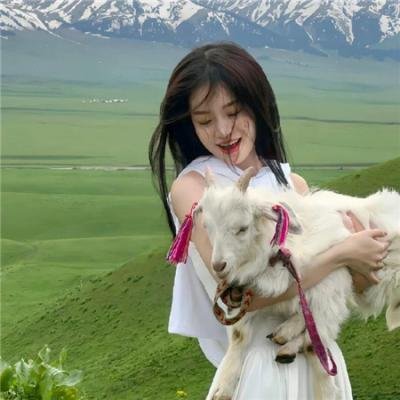 王爷你好贱第三季